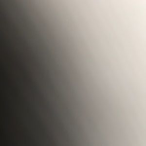 Meet your Posher, Aaustin